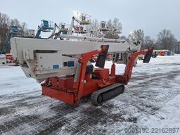 Teupen LEO 30 T