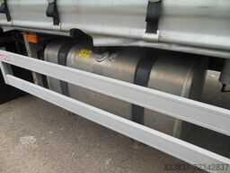 DAF CF 320.18, D-HOLLANDIA, 19 PALETTEN, TOP STAND