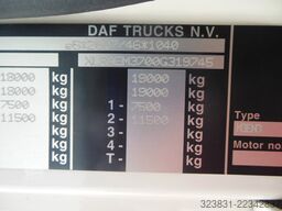 DAF CF 320.18, D-HOLLANDIA, 19 PALETTEN, TOP STAND