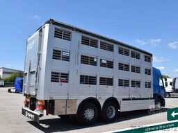 RENAULT 430DXi Viehtransporter Michieletto Aufbau DD