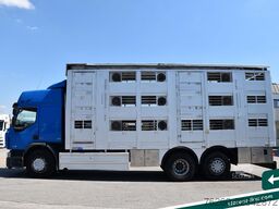 RENAULT 430DXi Viehtransporter Michieletto Aufbau DD