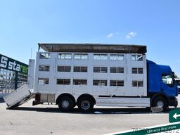 RENAULT 430DXi Viehtransporter Michieletto Aufbau DD
