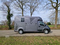 Opel Movano  AKX S3 nieuw paardenwagen Automaat Pro-...