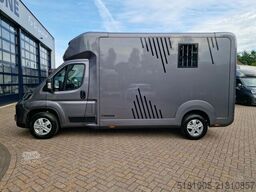 Opel Movano  AKX S3 nieuw paardenwagen Automaat Pro-...