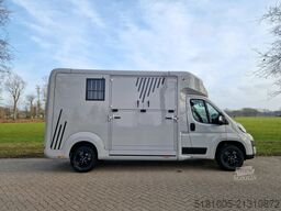 Opel Movano AKX S3 nieuw paardenwagen Automaat Pro-s...