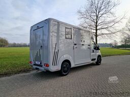 Opel Movano AKX S3 nieuw paardenwagen Automaat Pro-s...