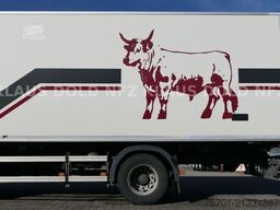 VOLVO FM 330 Kühlkoffer Carrier Rohrbahn Euro 6