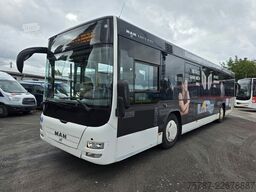 MAN Lions City LE  Überland Niederflurbus 41+40+1+1