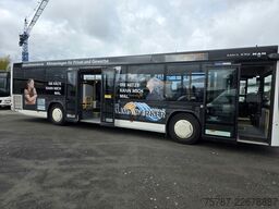 MAN Lions City LE  Überland Niederflurbus 41+40+1+1