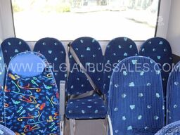 Mercedes-Benz Vario / 813D / Euro 5 / 8,5m