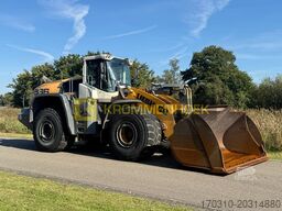Liebherr L 586 Xpower