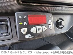 RENAULT MidlumDxi 180*Carrier*ATP*Klima*Nutzlast 2.926kg