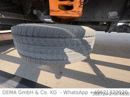 MAN TGM 15.250*elektrische Rollplane*E6b*Klima*TÜV*