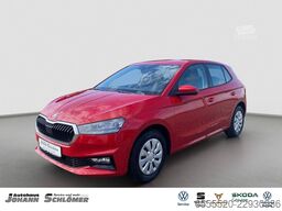 Mikroautobuss Skoda Fabia