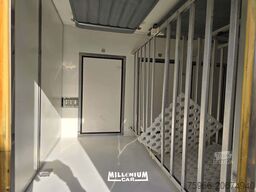 Iveco 35-13 CELLA SURGELATI PORTE POST ATP RRC