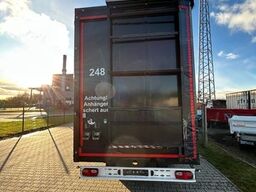 3-Achsen Plateau Plane zwangsgelenkt Anhäng -248