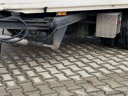 3-Achsen Plateau Plane zwangsgelenkt Anhäng -248