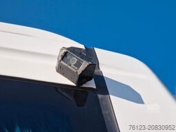 TEMSA Prestij SX Novo Lux Daily