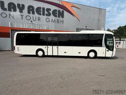 MAN Lion's Regio R12 ÜL | 4 Fahrzeuge, Klima, Euro 6