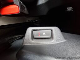 Renault Master MTM S3 EXCLUSIVE ! Nieuw model paardenwa...