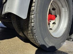 SCANIA R 490 Retarder EU 6  Hydraulik