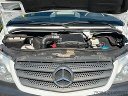 MERCEDES-BENZ Sprinter 313 Cdi 9Sitze+Rollstuhllift Klima Navi