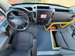 MERCEDES-BENZ Sprinter 313 Cdi 9Sitze+Rollstuhllift Klima Navi