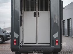 BERTON SINGLE CABIN RENAULT MASTER STALLION LAYOUT