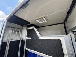 Renault Master Hengst Pferdetransporter