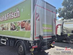 Schuh ASD 17008 Kühlkoffer