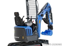 RIPPA R13