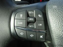 FORD Nugget 170PS Autm. Bi-Xenon Markise AHK ACC