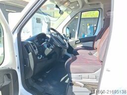 P.L.A. Sonstige Bela Easy Barbados