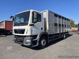 MAN TGM 18.290 4X2 BL