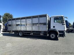 MAN TGM 18.290 4X2 BL
