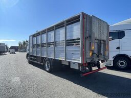MAN TGM 18.290 4X2 BL