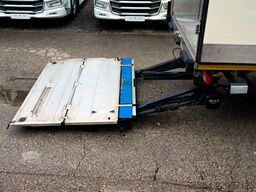 DAF XF 480 FAN + Anhänger
