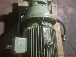 B.n.g. B.n.g. B.n.g.