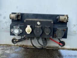 Pacton TPD 339