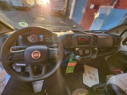 FIAT Weinsberg Carabus 600 K | Pop Top Roof | 2024