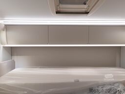 ADRIA CORAL XL 600 DP - 60Y PACK WILD&FREE