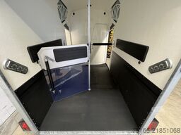 Böckmann Neo L SR WCF Art Line Pferdeanhänger