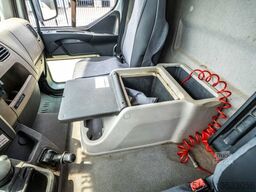 RENAULT MIDLUM 270 DXI (14T.)+DHOLLANDIA