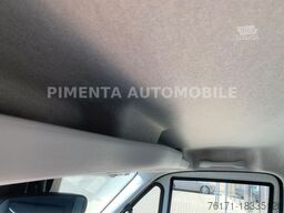 IVECO Daily 50C18A8 TK AUT TRENNWAND CARRIER LBW LED