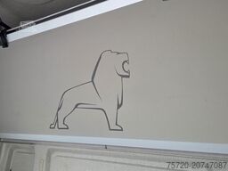 MAN TGX 26.460 6x2 | Lift-Lenkachse | Retarder | Klima | 2 x Vorhanden