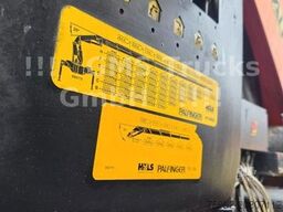 DAF 95XF / 8X4 / 35m Kran Palfinger PK90002 / WINCH