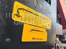 DAF 95XF / 8X4 / 35m Kran Palfinger PK90002 / WINCH