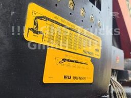 DAF 95XF / 8X4 / 35m Palfinger Kran PK 90002 / Winch