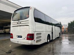 MAN Lion's Coach