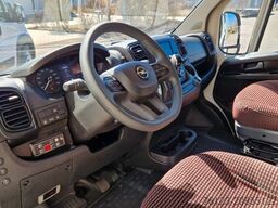 FIAT 1x Ducato 1x Opel Movano 18 SS in Stock